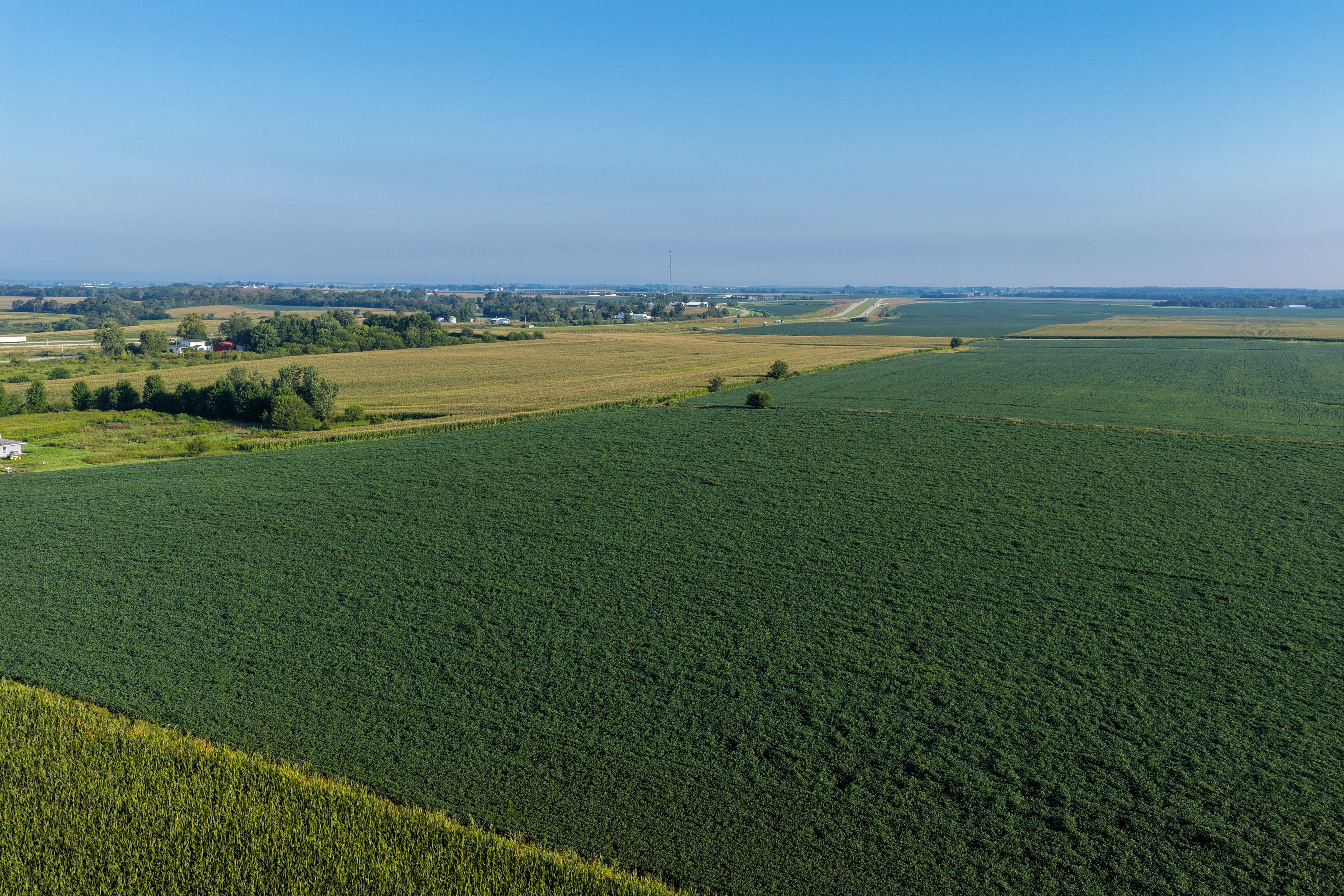 Listing Photo: 90 CSR2 Louisa County Farmland For Sale-7
